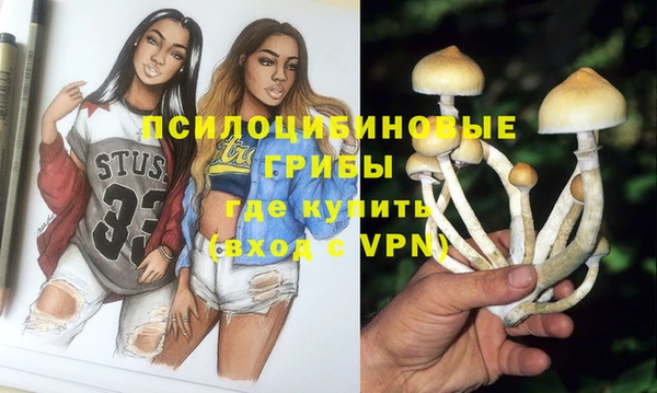 марки nbome Бородино